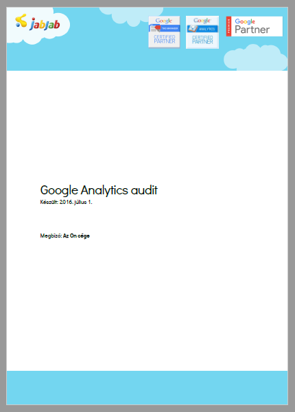 Google Analytics Audit minta